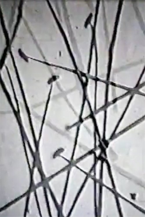 Peau d'oignon (2002) poster