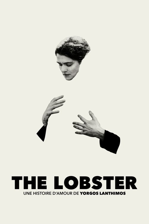 Poster image du film The Lobster The Lobster
