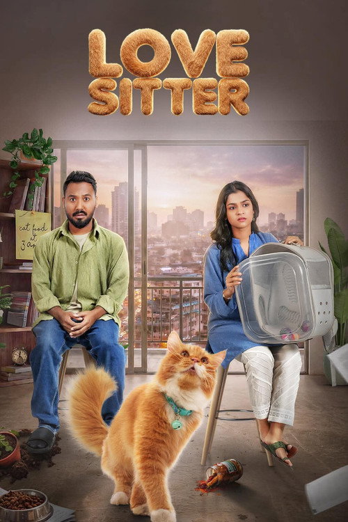 Love Sitter poster