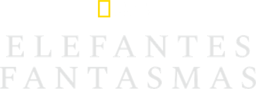 Elefantes Fantasmas - Logo 3