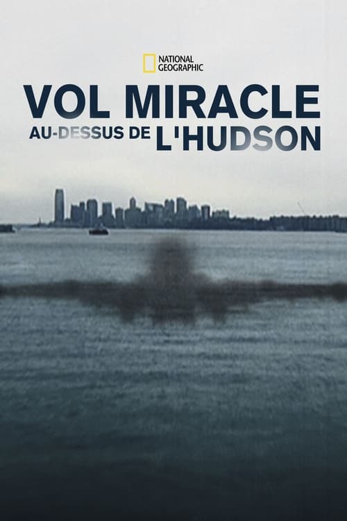 Atterrissage miraculeux sur l'Hudson (2014)