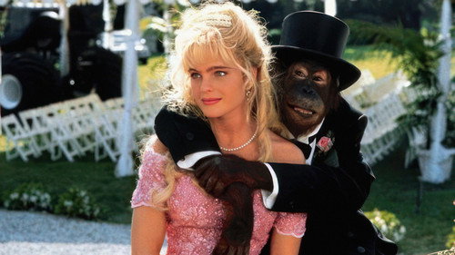 Image du film