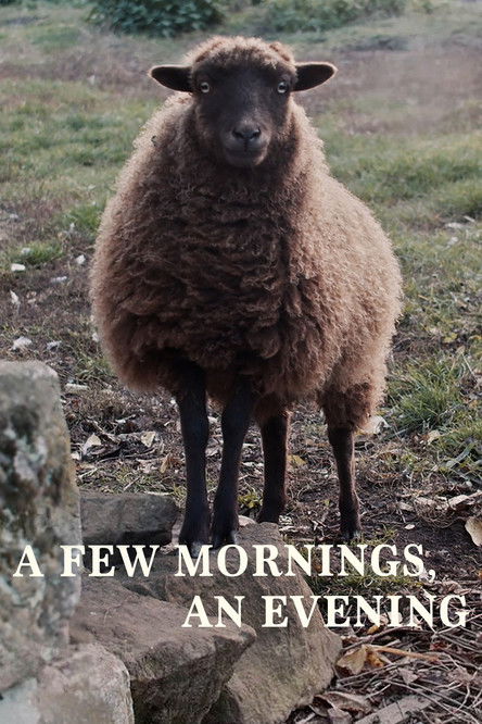 A Few Mornings, an Evening poster