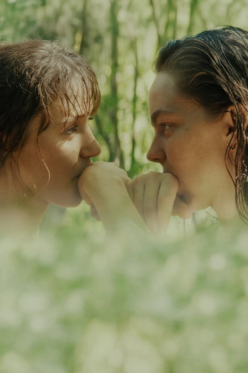 Affiche de Little Trouble Girls