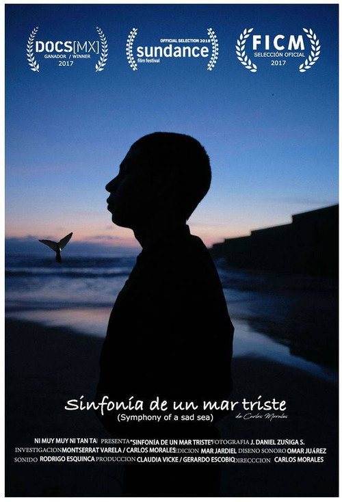 Póster oficial de Symphony of a Sad Sea (2018) - Documentary