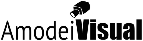 AmodeiVisual