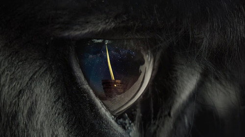 Perfectly a Strangeness