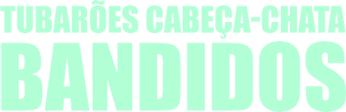 Tubarões Cabeça-Chata Bandidos