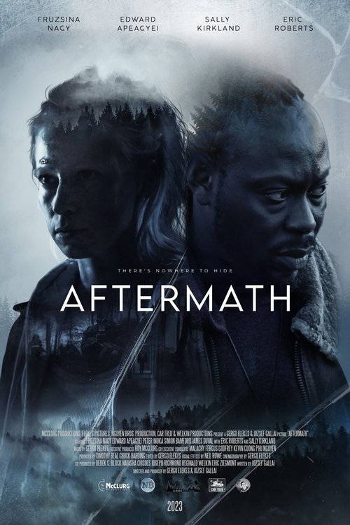 Aftermath poster