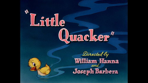 Little Quacker