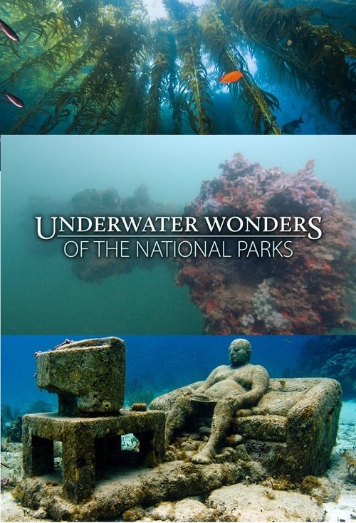 Underwater Wonders Of The National Parks poster