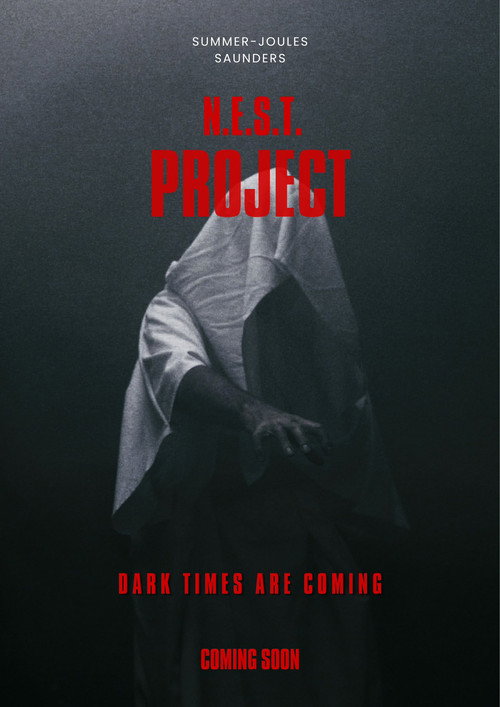 Постер: The Eight Saga:N.E.S.T.Project