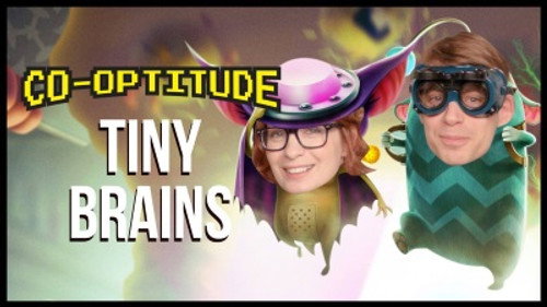 Tiny Brains