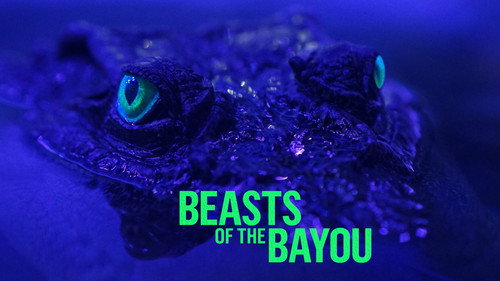 Beasts of the Bayou