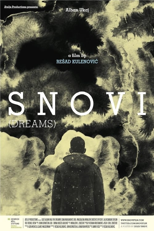 Snovi (2010)