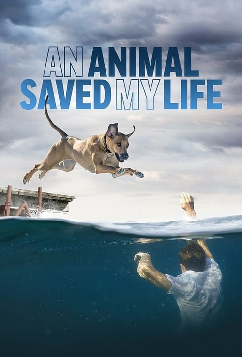 An Animal Saved My Life
