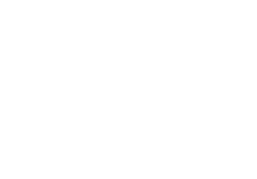 Simon & Garfunkel: The Concert in Central Park