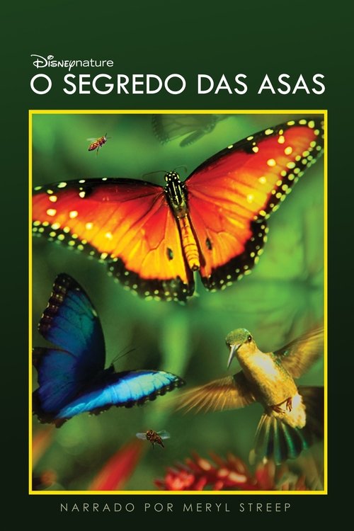 Disneynature’s Wings of Life movie poster player