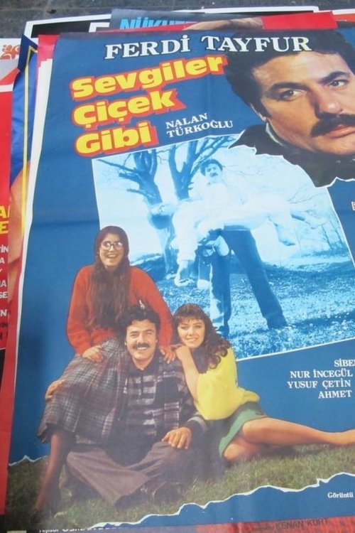 Sevgiler Çiçek Gibi movie poster player
