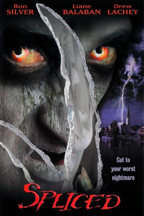 Affiche de The Wisher