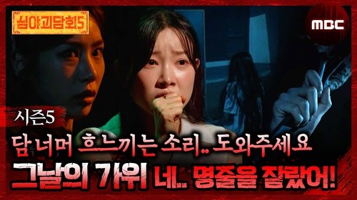 Poster della serie Midnight Horror Story