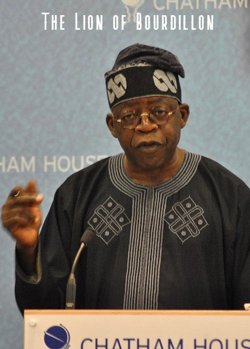 The Lion of Bourdillon