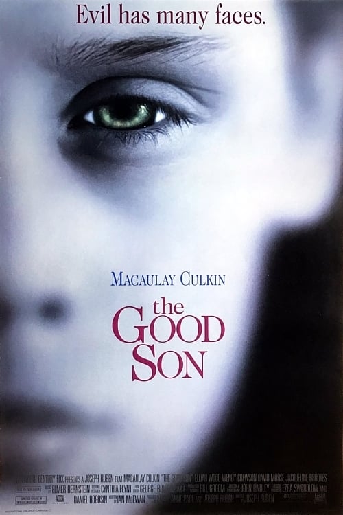 The Good Son poster