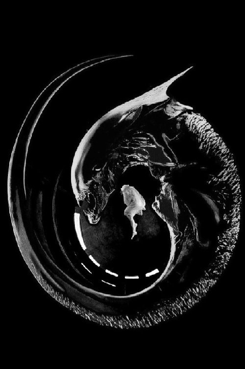 Ripley movie poster player