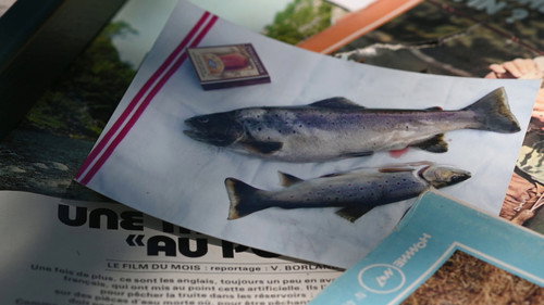 Le Drauzou, la pêche aux fantômes Backdrop Blur