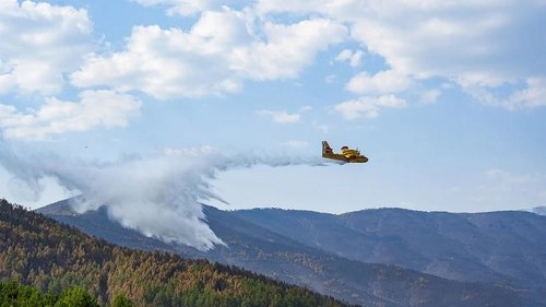 Image de l'épisode 213