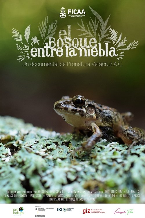 Poster for El bosque entre la niebla
