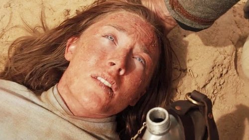 The Host (2013)