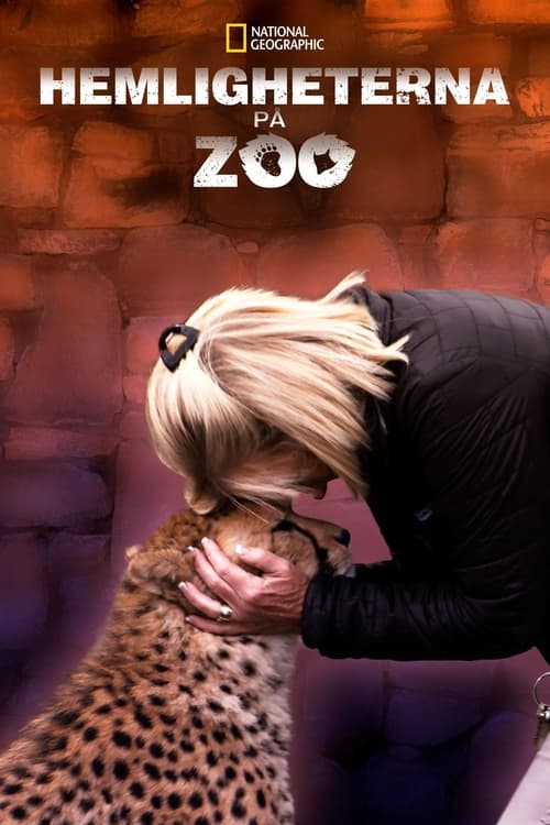 Secrets of the Zoo poster