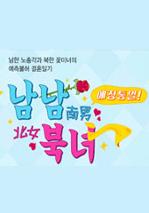 애정통일 남남북녀 (2014) poster