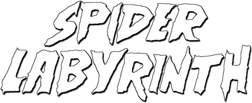 The Spider Labyrinth