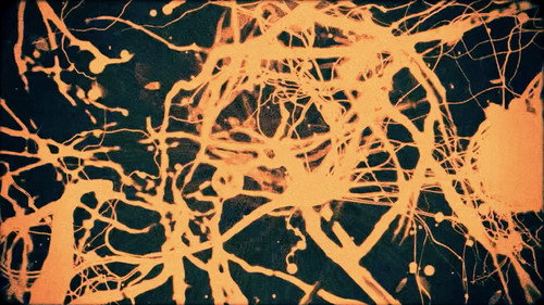 Slow Dancing on the Red Floor