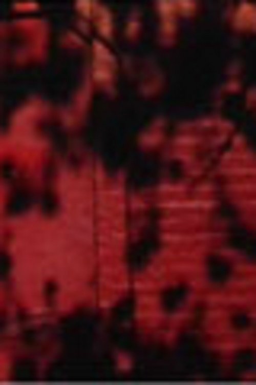 Schatten auf roter Wand