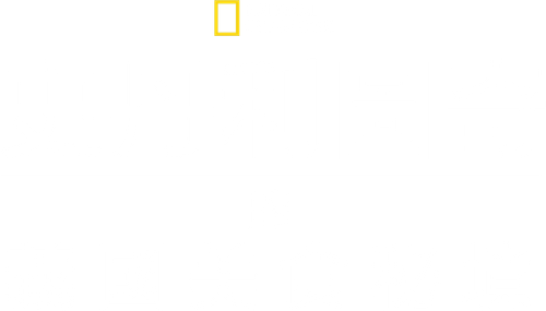 斯坦利·图齐的意大利美食秘境
