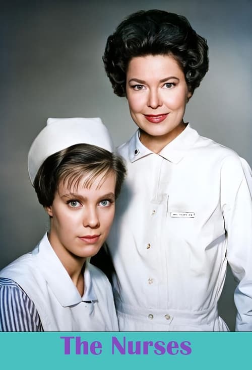 Poster da série The Nurses
