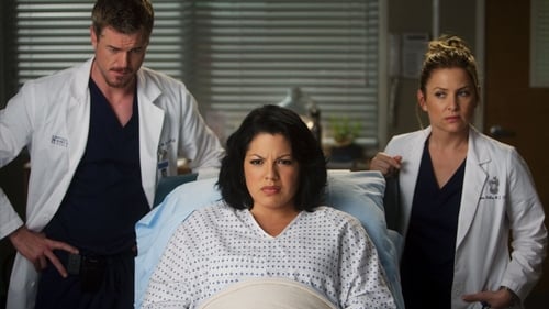 Grey's Anatomy - Season 7 - Episode 13: Don't Deceive Me (Please Don't Go)