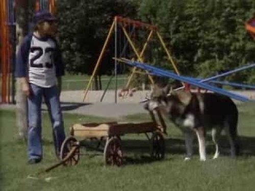 Image de l'épisode 18