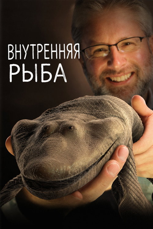 Постер «Внутренняя рыба»