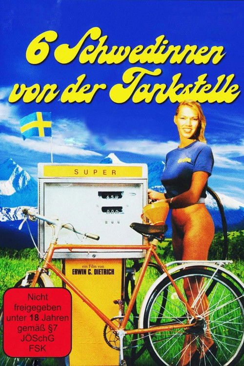 Six Swedish Girls at a Pump poster