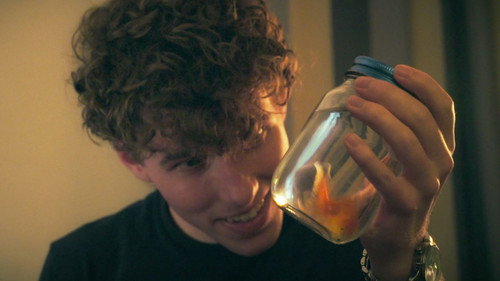 The Fishsitter — Fundos 6
