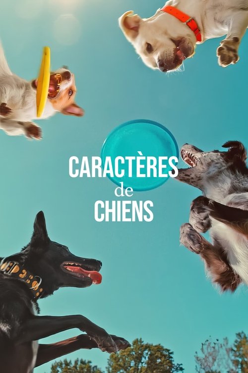 Poster image du film Caractères de chiens Caractères de chiens