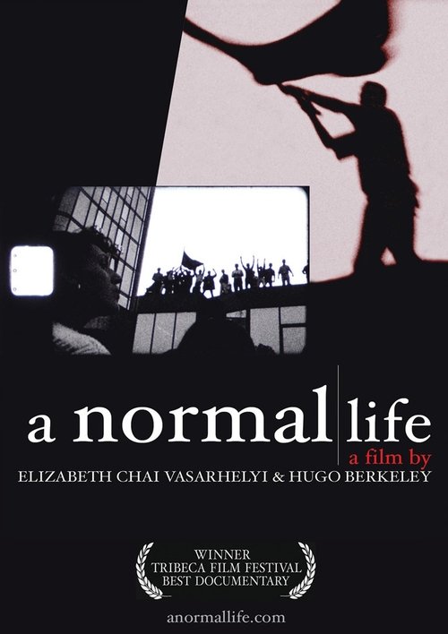 A Normal Life Movie Poster Image