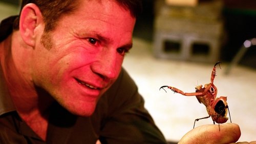 Image de l'épisode 20