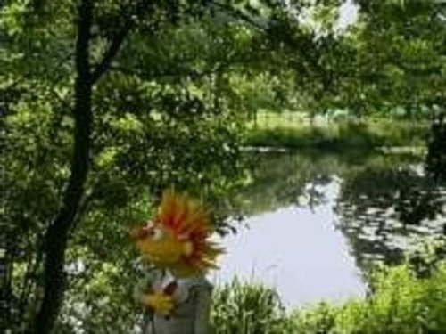 Image de l'épisode 7