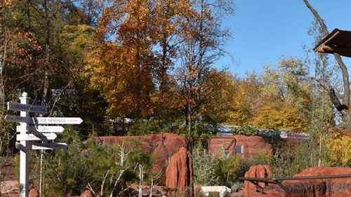 Du sang neuf au zoo de Zurich - Season 1 Backdrop Blur