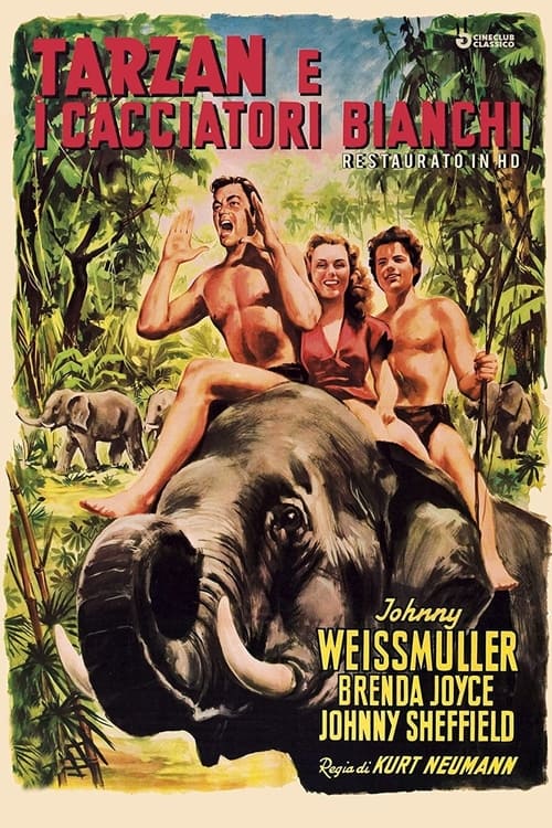 Tarzan and the Huntress poster